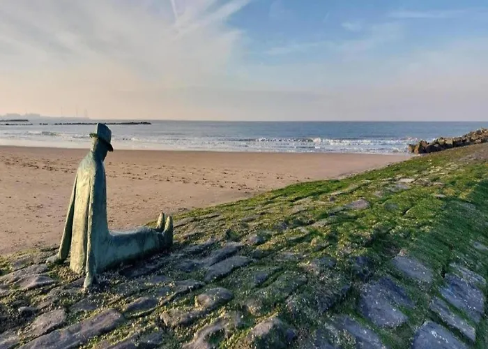 Spacious Modern In Appartement