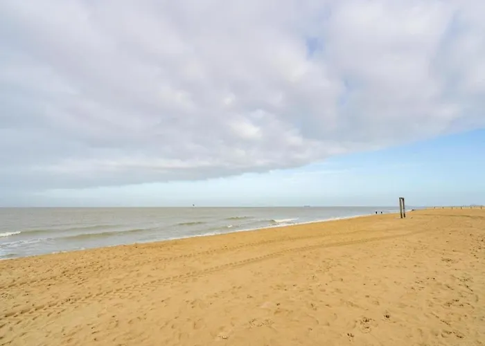 Spacious Modern In Apartment