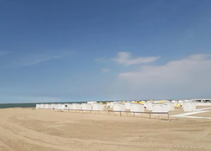 Spacious Modern In Appartement