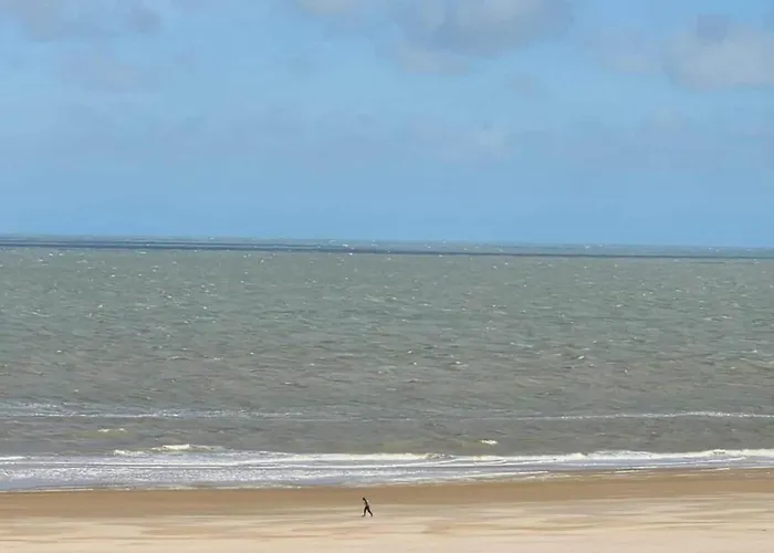 Spacious Modern In Apartment