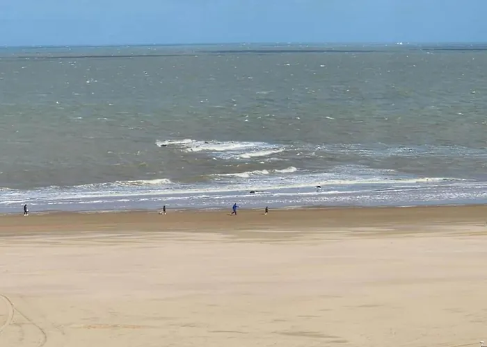 Spacious Modern In *